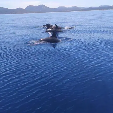 Apartment Le Tre Corti *