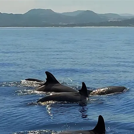 Apartment Le Tre Corti Iglesias