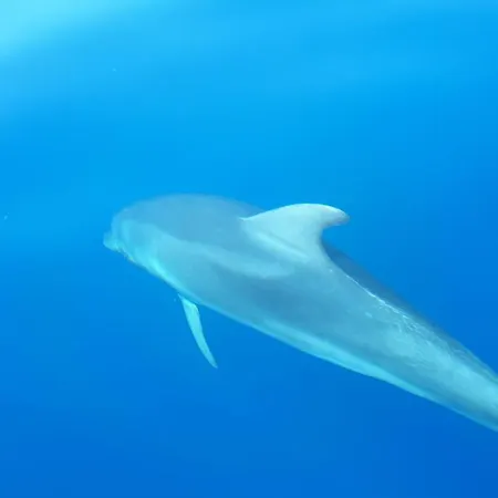 Le Tre Corti דירה *